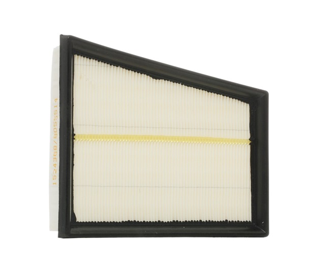 RIDEX 8A0465 Air filter