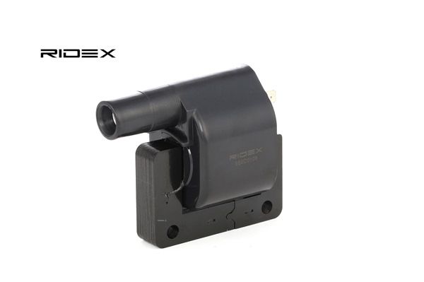 Zündspule 689C0108 RIDEX 2243318R10 NISSAN, INFINITI, DAEWOO, HOLDEN