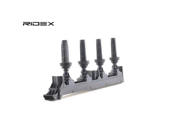 RIDEX 689C0111