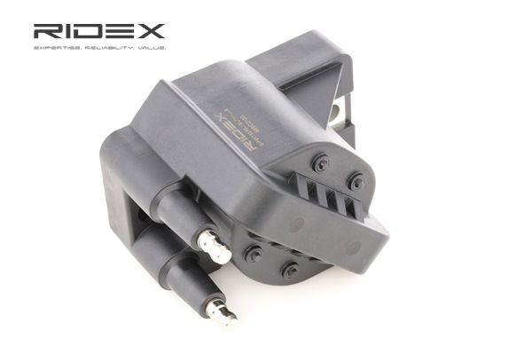 Πολλαπλασιαστής RIDEX 689C0133