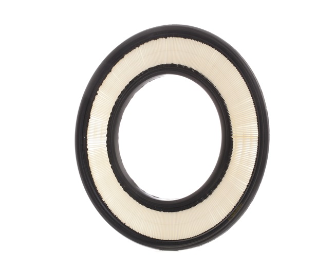 RIDEX 8A0498 Filtre à air