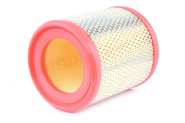 RIDEX 8A0495 Въздушен филтър