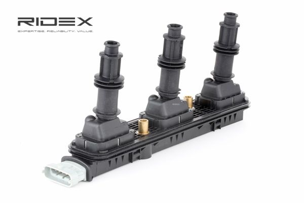 Zespół cewek RIDEX 689C0275