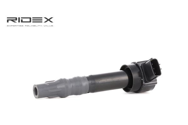 8055913 RIDEX 689C0226 Bobina de inductie SMART preț