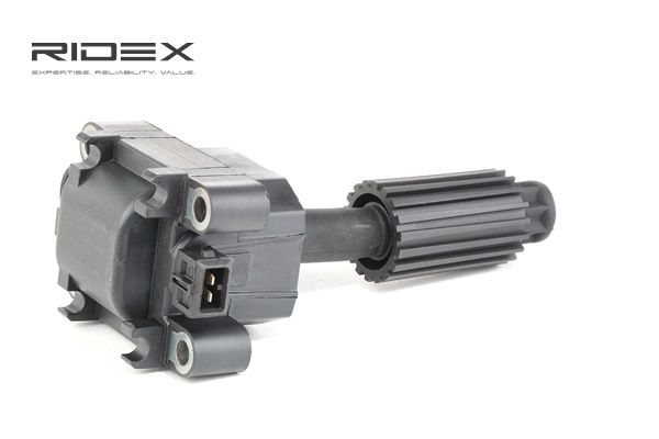 8055917 RIDEX 689C0223 kosten Bobine FORD Transit Mk5 Flatbed Vrachtwagen/Chassis (V184, V185)