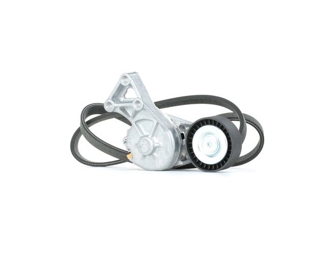 STARK SKRBS-1200003 V-Ribbed Belt Set