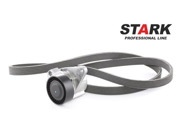 8056116 SKRBS1200008 OEM STARK Poly v-belt kit price