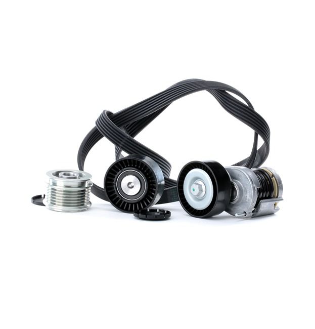 Kit de correa de accesorios STARK SKRBS-1200013