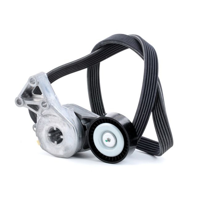 Kit de correa de accesorios STARK SKRBS-1200014