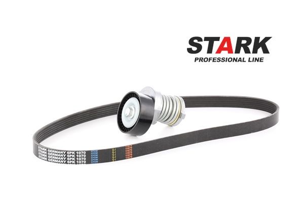 8056376 SKRBS1200035 OEM STARK Poly v-belt kit price