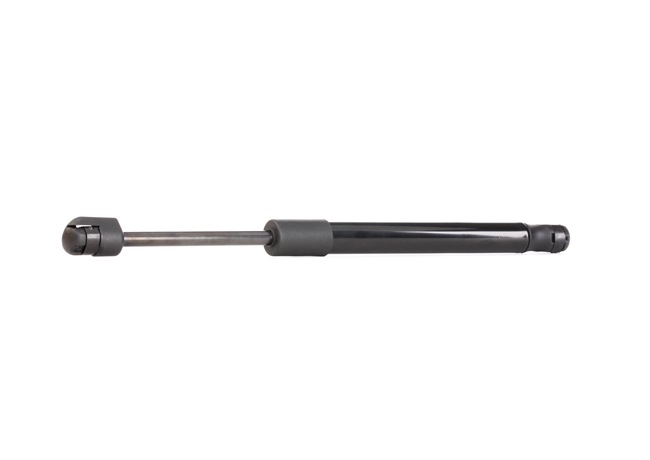 RIDEX 219G0224 Heckklappendämpfer