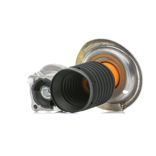 RIDEX 8058003 Тампон на макферсън Пружинно окачване Mercedes W414 цена