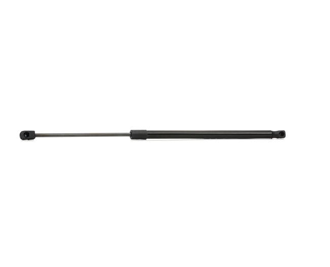 8058412 RIDEX 219G0044 SSANGYONG Gasveer achterklep prijs