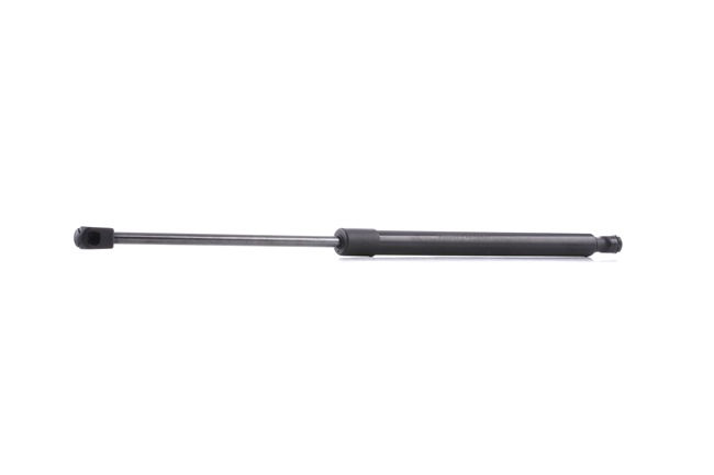 RIDEX 219G0372 Baklukedemper