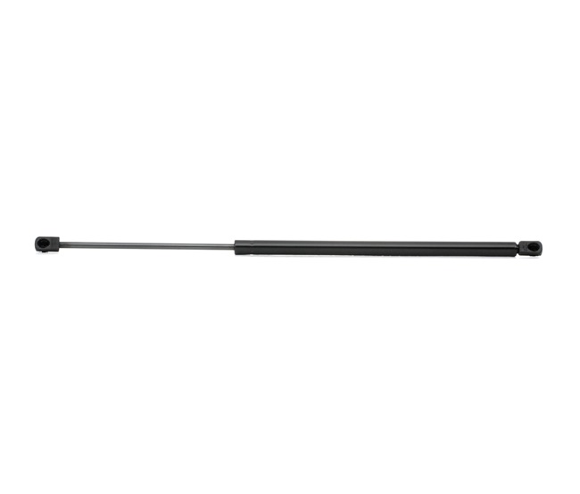 RIDEX 219G0362 Heckklappendämpfer