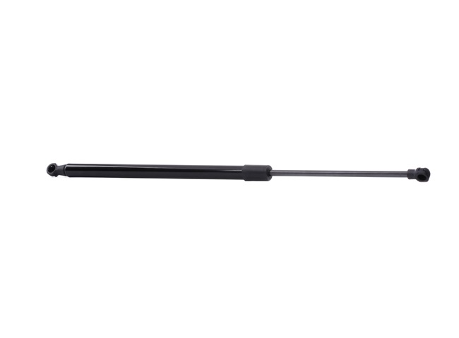RIDEX 219G0060 Heckklappendämpfer
