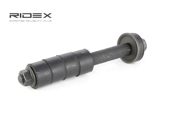 Kosti stabilizátoru RIDEX 3229S0319
