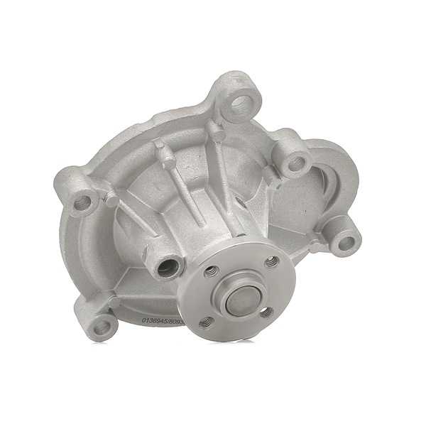 8093818 Vandpumpe STARK Mini hvad koster