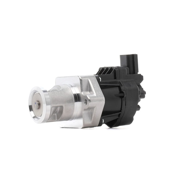 EGR RIDEX 1145E0066