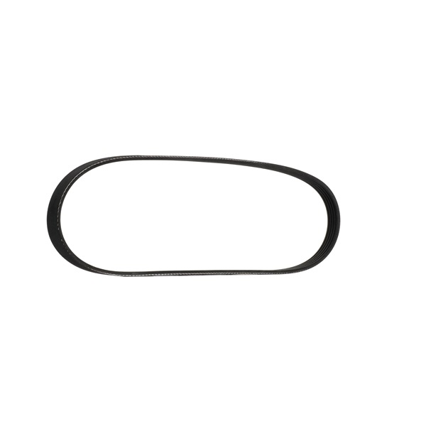 RIDEX 305P0026 Correa trapecial poli V