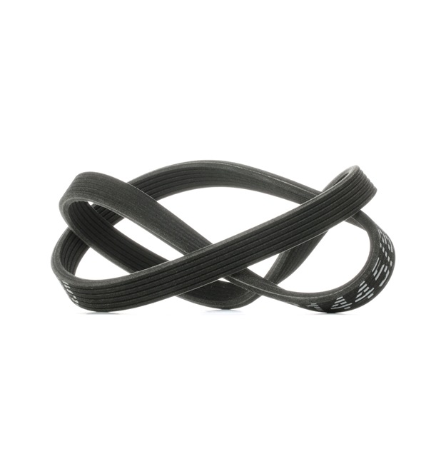 RIDEX 305P0153 Correia trapezoidal estriada