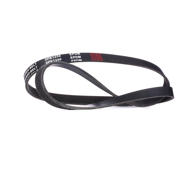 RIDEX 305P0159 Keilrippenriemen