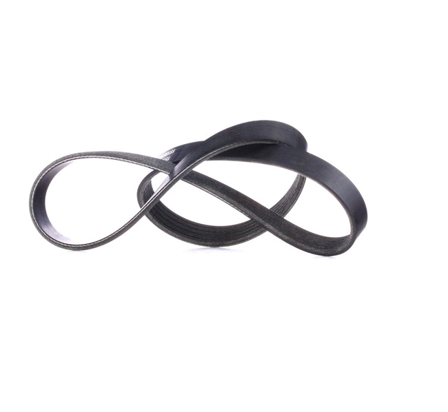 RIDEX 305P0176 Keilrippenriemen