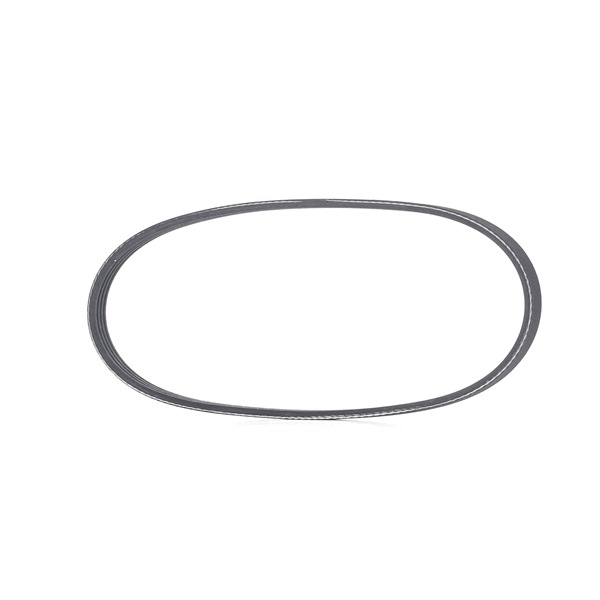 RIDEX 305P0339 Courroie Poly-V