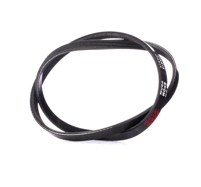 Keilrippenriemen 305P0292 RIDEX 1172001B01 FIAT, NISSAN