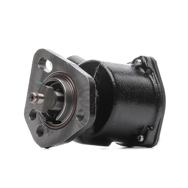 8099044 RIDEX 387V0008 Pompa vacum LANCIA Delta III (844) cena