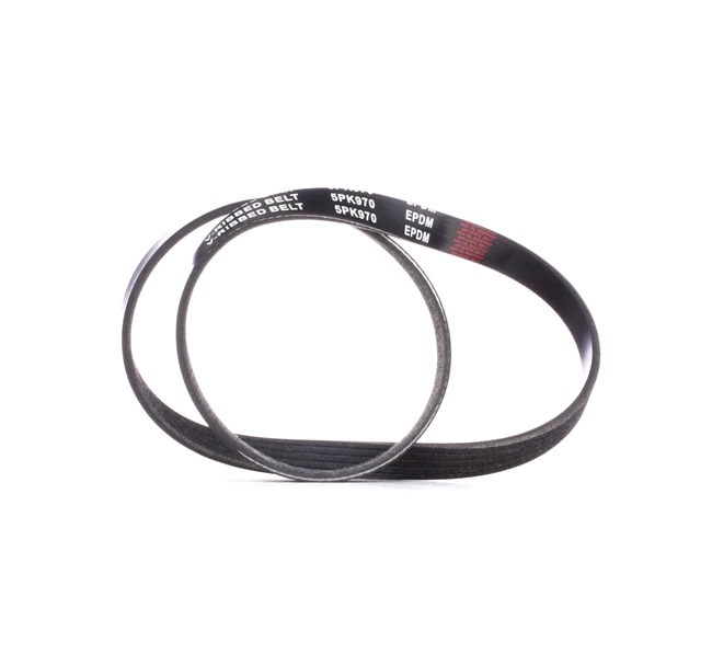 8099073 Ιμάντας δυναμό RIDEX Alfa Romeo 155 κόστος