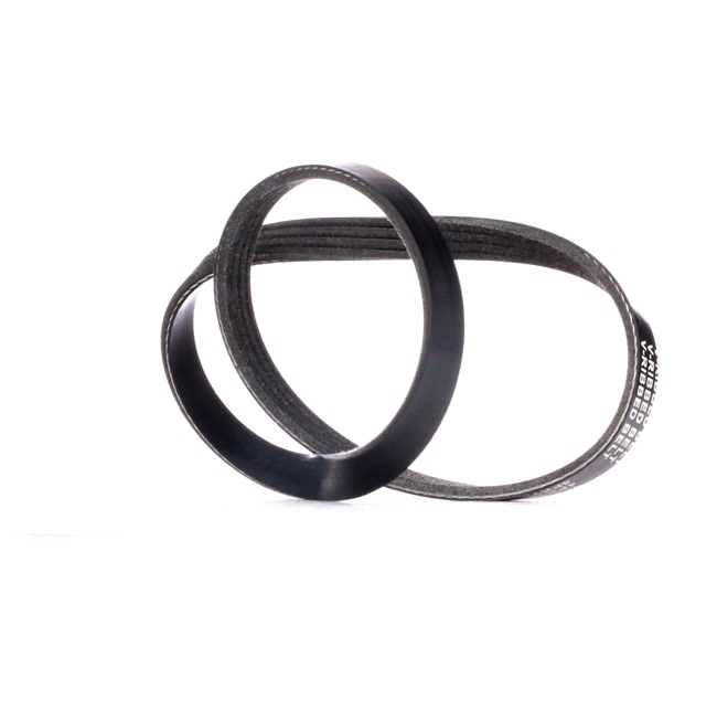 RIDEX 305P0381 Courroie Poly-V