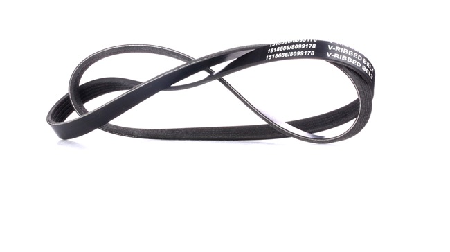 RIDEX 305P0211 Courroie Poly-V