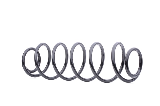 RIDEX 188C0184 Ressort de suspension