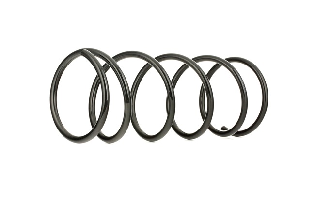 8100345 original Spring RIDEX KUGA