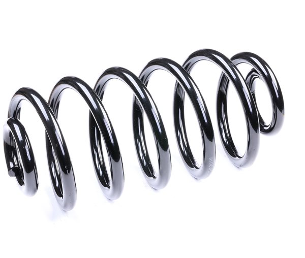 RIDEX 188C0179 Ressort de suspension