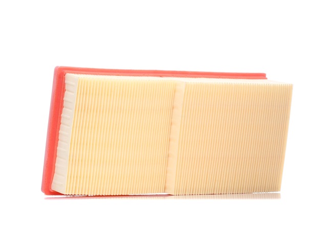 RIDEX 8A0048 Filtre à air