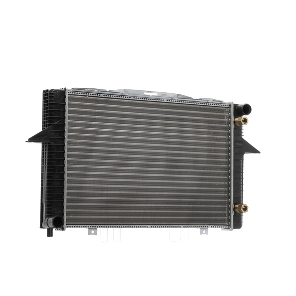 RIDEX 470R0029 Radiateur du moteur