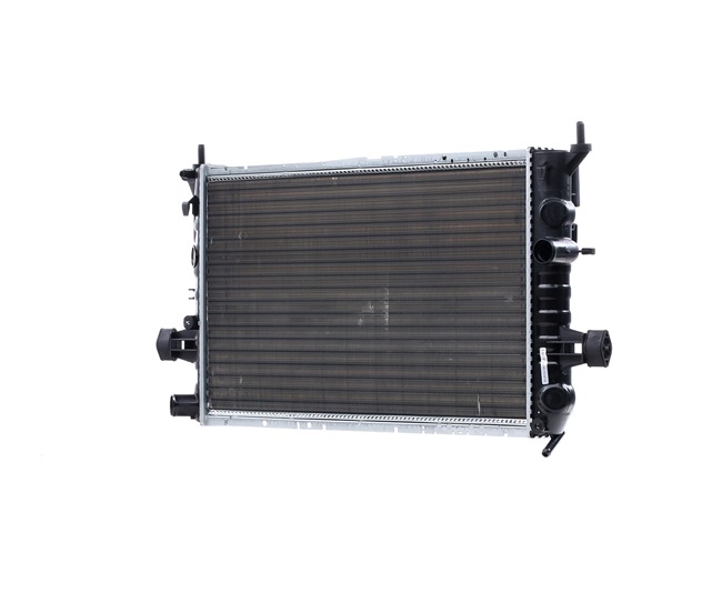 RIDEX 470R0248 Radiateur du moteur