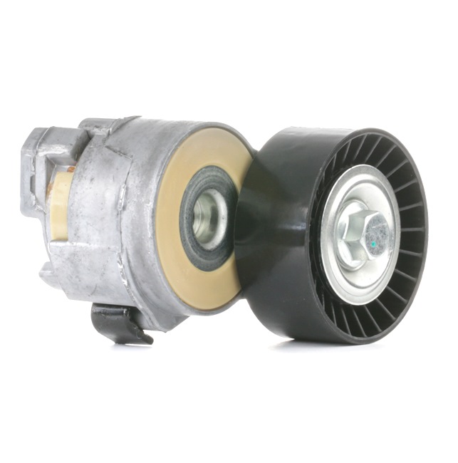 Tendicinghia poly v STARK SKTP-0600134