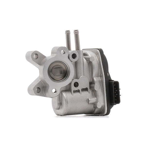 RIDEX 8153102 Vanne EGR Échappement Navara D22 prix