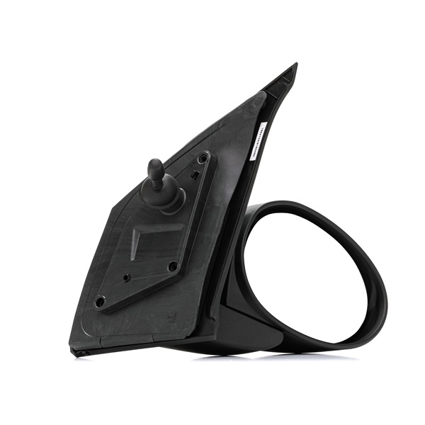 RIDEX 50O0031 Buitenspiegel