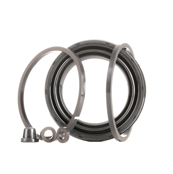 Kit revisione, pinza freno RIDEX 405R0089