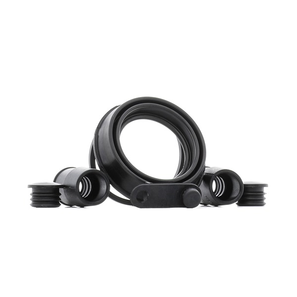 RIDEX 405R0083 Renault Twingo 3 Reparatursatz, Bremssattel Preis