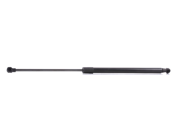 RIDEX 219G0072 Heckklappendämpfer