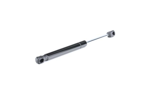 8156364 RIDEX 219G0248