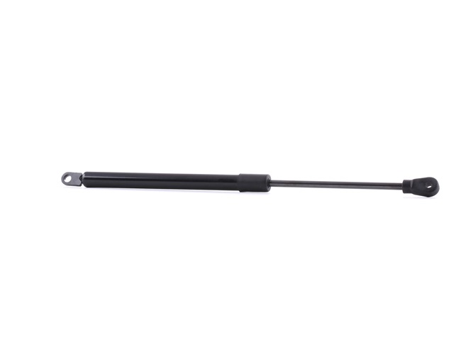 RIDEX 219G0245 Heckklappendämpfer