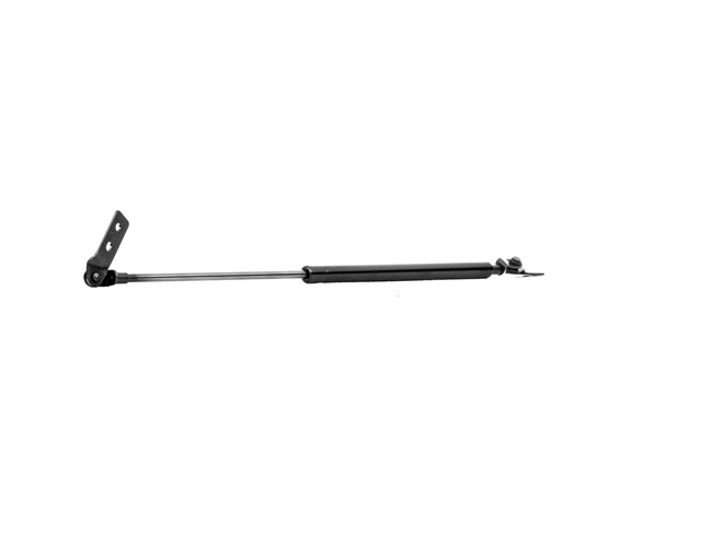 RIDEX 219G0159 Heckklappendämpfer