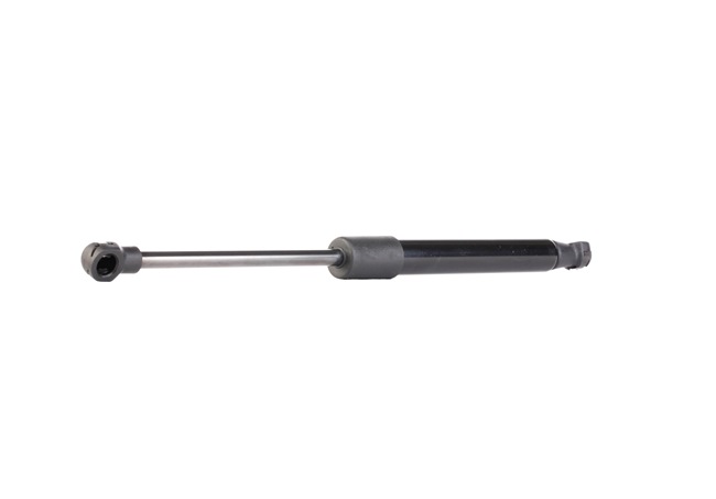 RIDEX 219G0247 Amortizor portbagaj