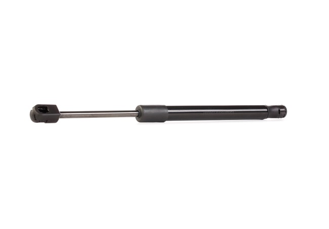 RIDEX 219G0217 Heckklappendämpfer